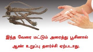 ஆண் உறுப்பு தளர்ச்சி நீங்க - Penis weekness Cure in tamil | Siththarkal Ulagam