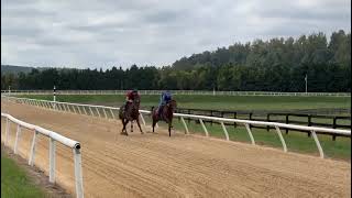 Lexington Moon (front) and Our Miss Crossbow do an easy 1/8th on 9/13.