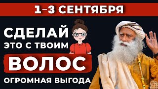 Садгуру Русский | Никогда не делайте этого с волосами | садгуру активирует чакру |  Новолуние