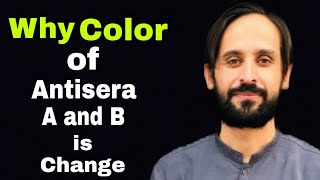 Why Color of Anti Sera A is Blue and B is Yellow?