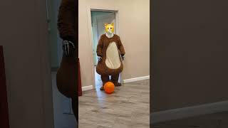 A fat cat loses an orange balloon