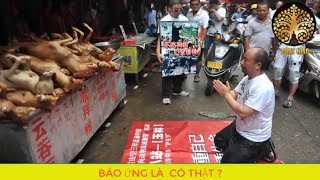 Nợ thì phải trả dù bạn là ai giầu hay nghèo Nghe Lời Phật dậy nhân quả báo ứng đọc truyện đêm khuya