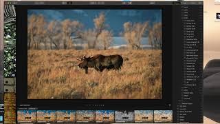 Luminar 3 with Libraries Introduction