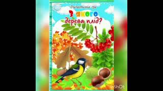 Дидактична гра " З якого дерева плід ? " ( Відео )