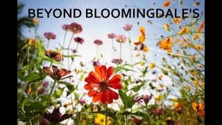 🌸BEYOND "BLOOM"INGDALES 🌸 | Ephe 3:20 & 2 Cor 4:7 #holyspirit #rhemawordofgod #yhwh #love #dream