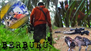 BERBURU AYAM HUTAN DI PAGI HARI || POIN 3 EKOR