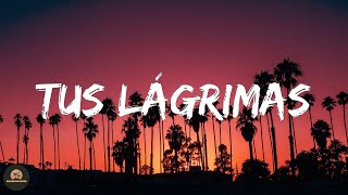 Mora - TUS LÁGRIMAS (Letra/Lyrics)