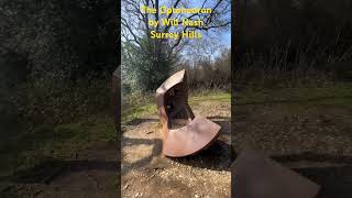 TheOptohedron by Will Nash in the Surrey Hills #artwork #surreyhills