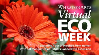 “Exploring Your Watershed from Home” with Sal Mangiafico of Rutgers Cooperative Extension