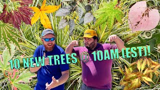 The Most Glamours 10 New Woody Ornamentals  @ 10am! w/ Tim and Corbin! (EST)!