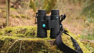 5 Best Binoculars for Bird Watching And the Outdoors