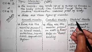 Define Muscles | Smooth muscles | cardiac muscles| Skeletal muscles Biology class 12 chapter 16