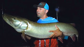 My BIGGEST MUSKY EVER!!! - Reaction Vol 2