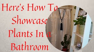 Small Bathroom Plant Tour | Arranging Plants In Bathroom | How to Put Plants In Bathroom