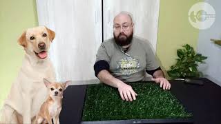 Green Carpet Classic y Deluxe - Review de TeCompraste - Bandeja sanitaria alfombra de cesped Perros