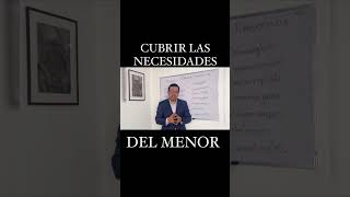 Cubrir las necesidades del menor.