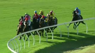 Lee Steere Stakes 2024 - CASINO SEVENTEEN (3YO+ WFA G2) Group 2 Ascot 9 November