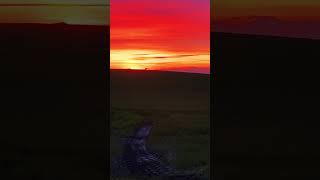 Lovely Sunset #shorts #short #shortvideo #dogs #foryou #foryourpage #music #hugo