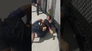 Female black belts in the cage. Nogi bjj