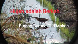 HUNTING CERIA // Diterpa angin dan hujan badai kami tetap bertahan