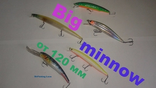 Крупные воблеры на щуку из Китая / Large minnow for pike.