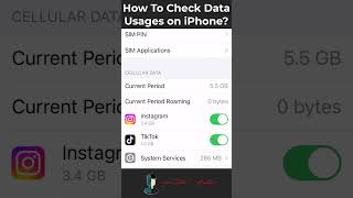 How to Check Data Usages on iPhone? #shorts #tutorial #data #iphone