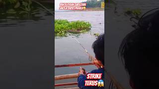 MANCING DISPOT INI STRIKENYA GA KETAHAN😱#fishing #shorts