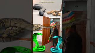 Animal funny video Anaconda snake python in my house in real life bhoot wala usa #bhojpuri #vfx p14