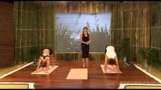 Yoga and the Art of Aging Full DVD Yoga Routine Week 1 full version.