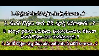 కొర్రలు (సుగర్ కొర్రలు) పండించే పద్దతి, how it helps to diabetes patients #agriculture #వ్యవసాయం