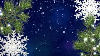 Christmas background with fir branches footage snowflakes