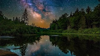 Deep in the Adirondack Forest Timelaspe 4K