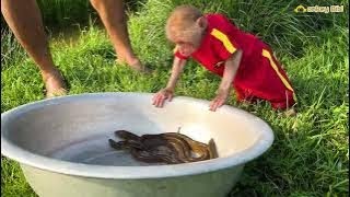 BiBi curious when he first saw Eel!