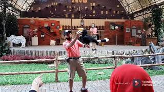 Taman Safari Bogor - Various Animals Show (Part 1)