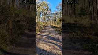 A beautiful walk along the Ingleborough Estate Nature Trail