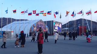 Pyeongchang flags