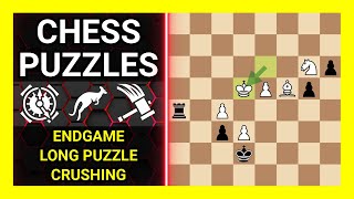 Chess Puzzles to Practice. Themes: Endgame, Long puzzle, Crushing. Learn Chess