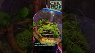 Creating a Beautiful Paludarium: Terrarium Meets Aquarium