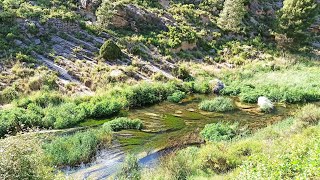 Primavera, charla sobre ecología, incendios y animales varios