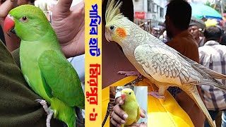 মিরপুর ১ পাখির হাট পার্ট -33 | Mirpur Pakhir Hat | pakhi Pric | পাখির মার্কেট মিরপুর-১ |#PetsAnytime