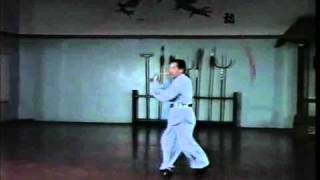 Bak Sil Lum (Northern Shaolin) - Spinning Chain Whip Sample