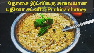 புதினா சட்னி /Pudhina chutney in Tamil /Mint chutney / Side Dish for Idly /Dosa /Easy Recipe