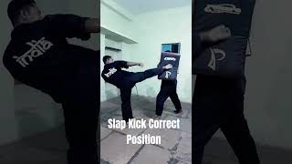 slap kick correct position#pencaksilat