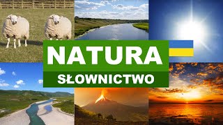 Польська для початківців - Природа 11 (Natura)