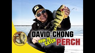 How to Catch Perch with David Chong - Canadian Ice Fishing Expo Talk