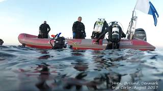 Evening dive at Hven, Øresund, August 2017