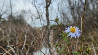 Hunts River Solo Kayak Camping, East Greenwich Rhode Island