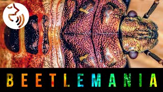 BEETLEMANIA - Preserve biodiversity (with narrator)