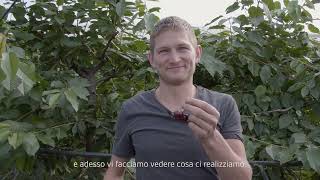 Frutta liofilizzata - innovazione in agricoltura (13)