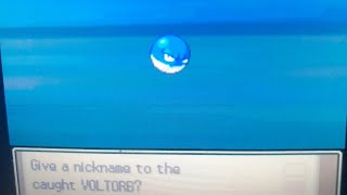 shiny voltorb (platinum pokeradar shiny living dex)